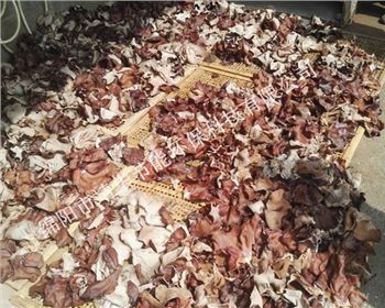 四川蔬菜烘干機(jī)公司（靖華）案例展示