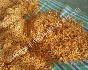 蟲(chóng)草花烘干工藝